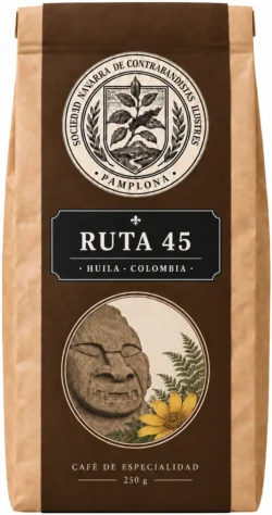 Ruta 45